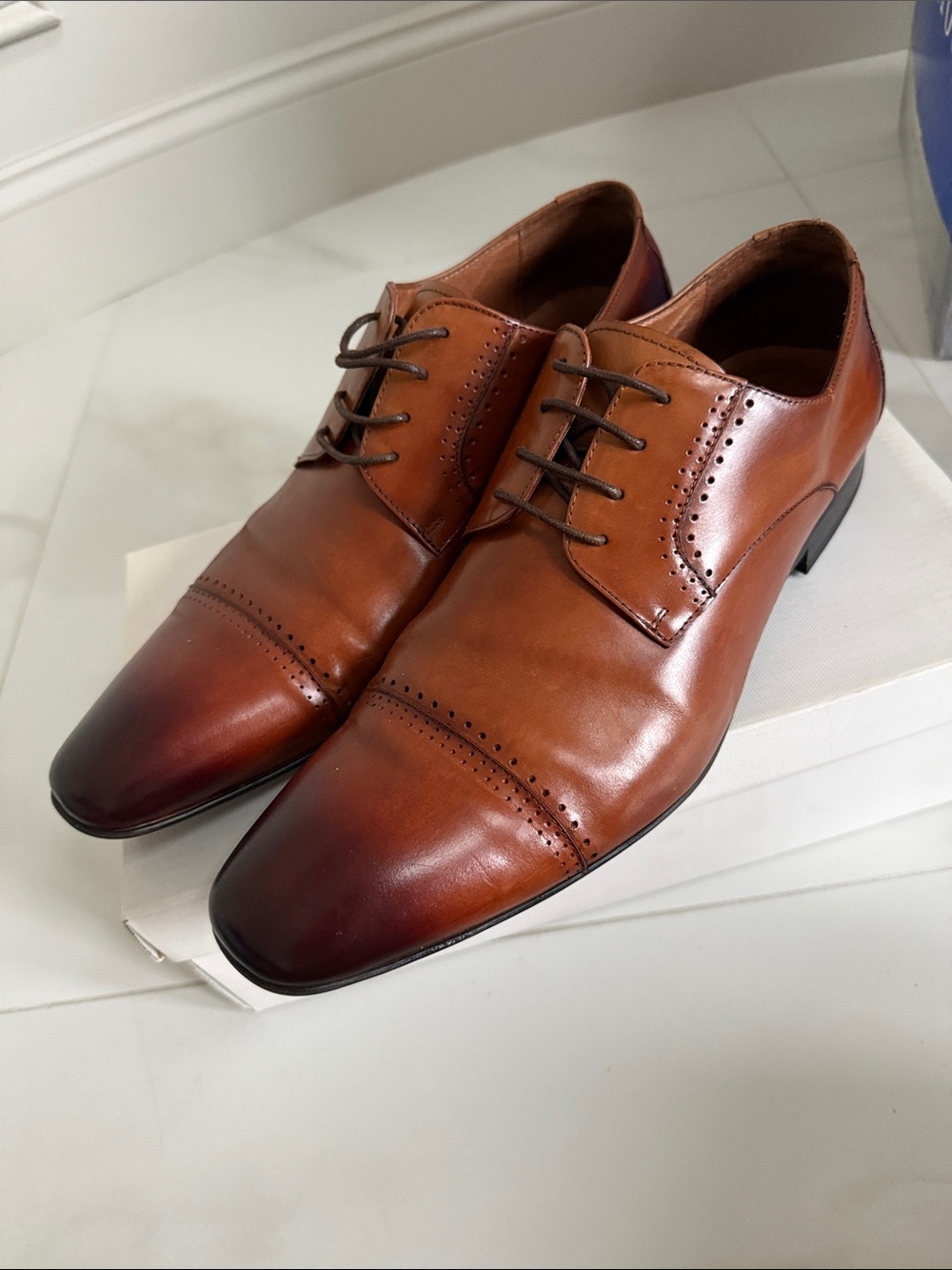 Steve Madden Two-Tone Brown Leather Cap-Toe Oxfords